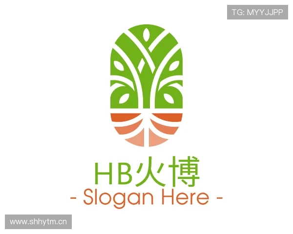 解读HB火博